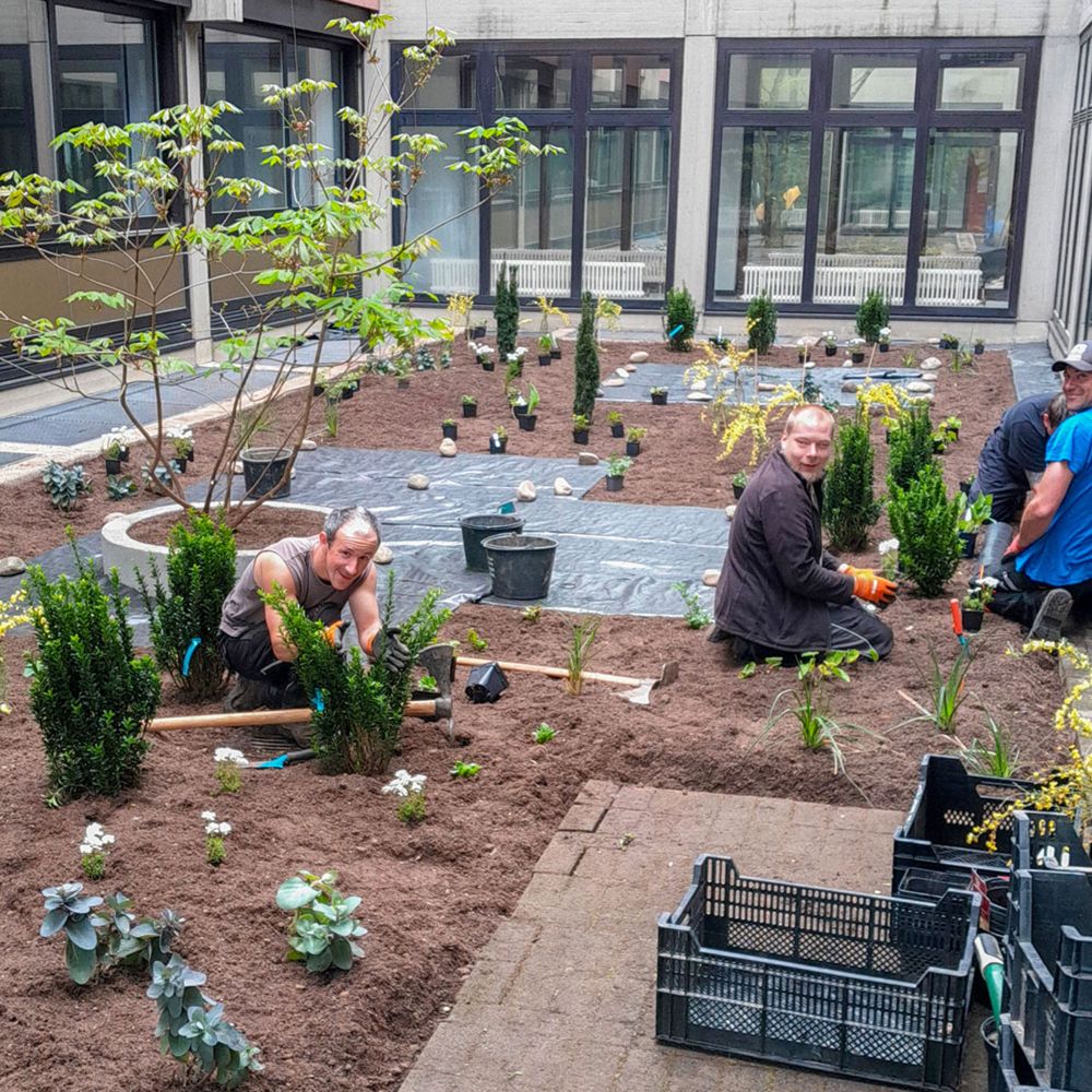 anlegen eines kleinen Gartens