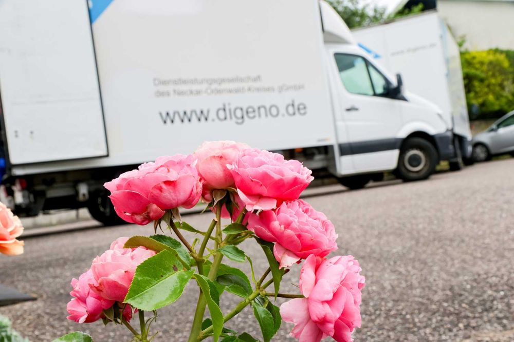 Haushaltsauflösungen und Umzüge mit der Digeno