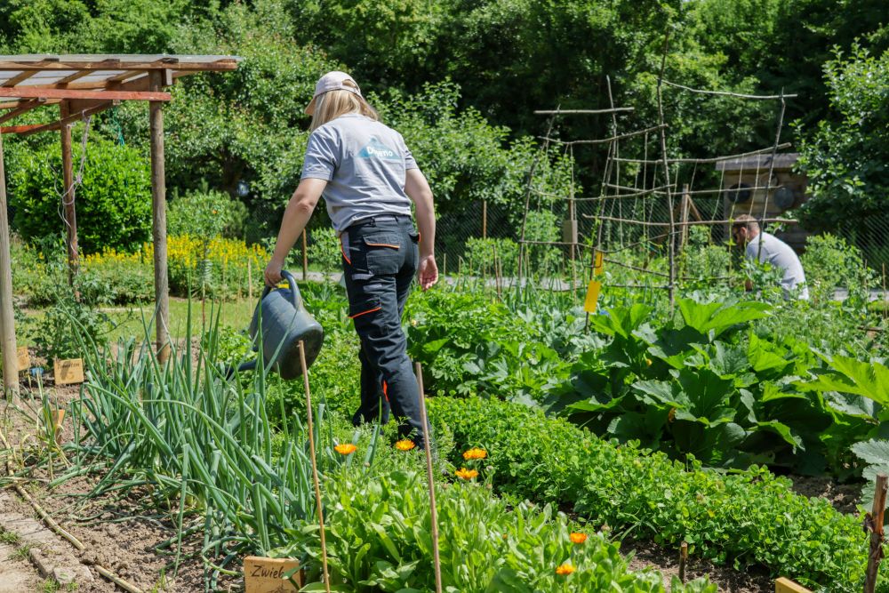 Gartenpflege in einem Gemüsegarten