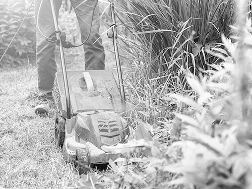 Gartenarbeit Rasenmähen