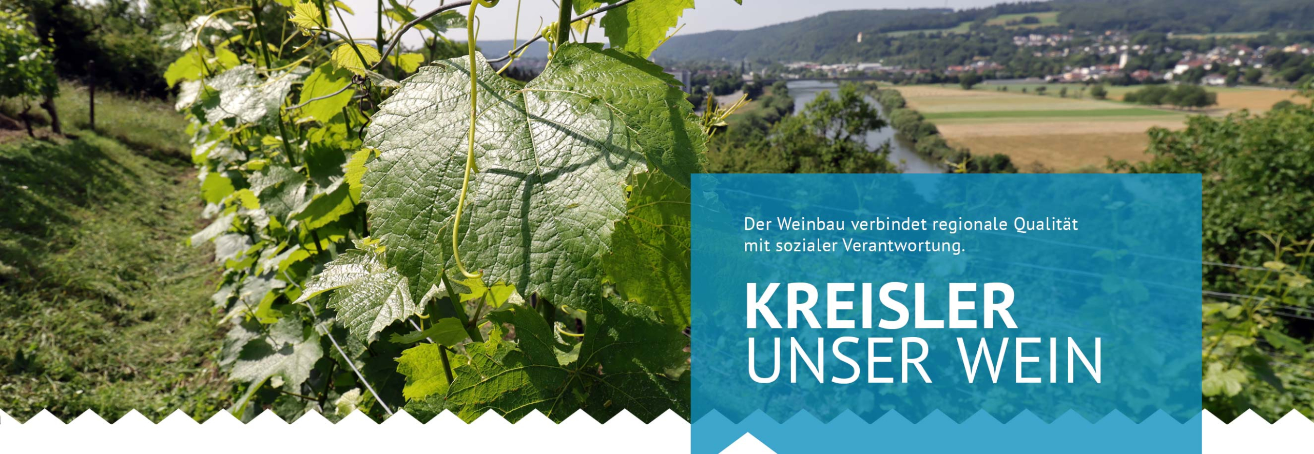 Der „Kreisler“-Wein vereint regionale Qualität mit sozialem Engagement, indem er langzeitarbeitslosen Menschen neue Perspektiven und sinnstiftende Arbeit bietet.